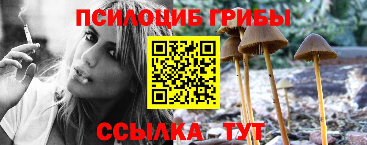 Галлюциногенные грибы мицелий Южноуральск