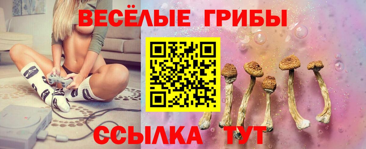 Южноуральск  даркнет сайт  Вход с VPN  Галлюциногенные грибы Psilocybine cubensis 